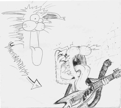 Crazy cat tranforming into mad cat